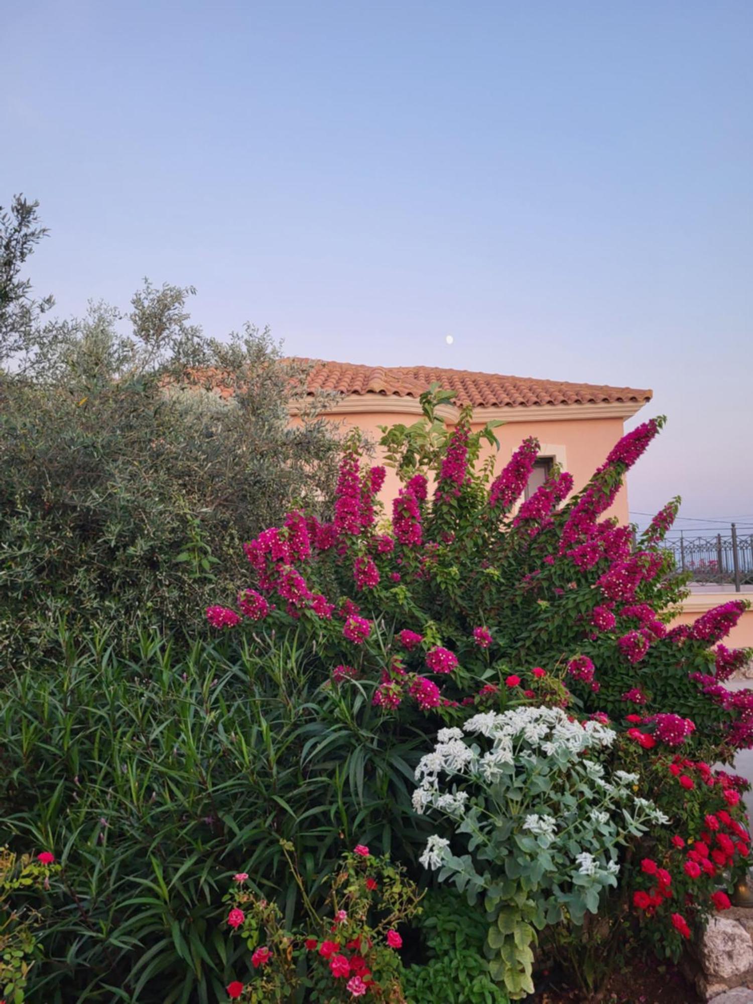 Korallis Villas Karavados ภายนอก รูปภาพ