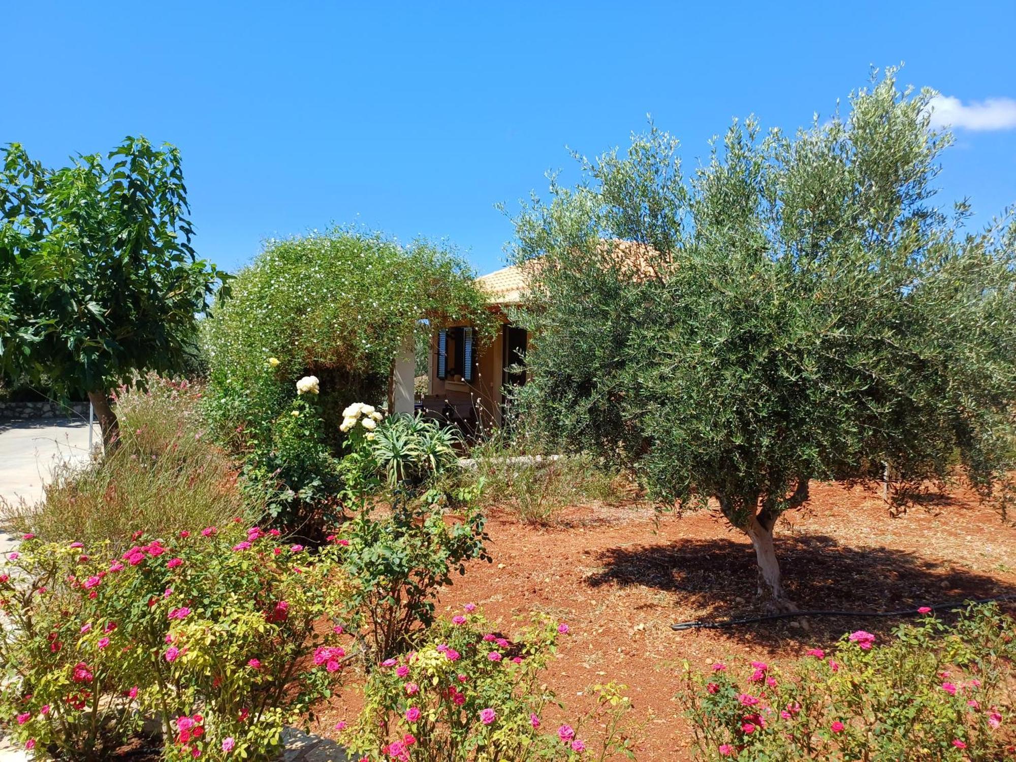 Korallis Villas Karavados ภายนอก รูปภาพ