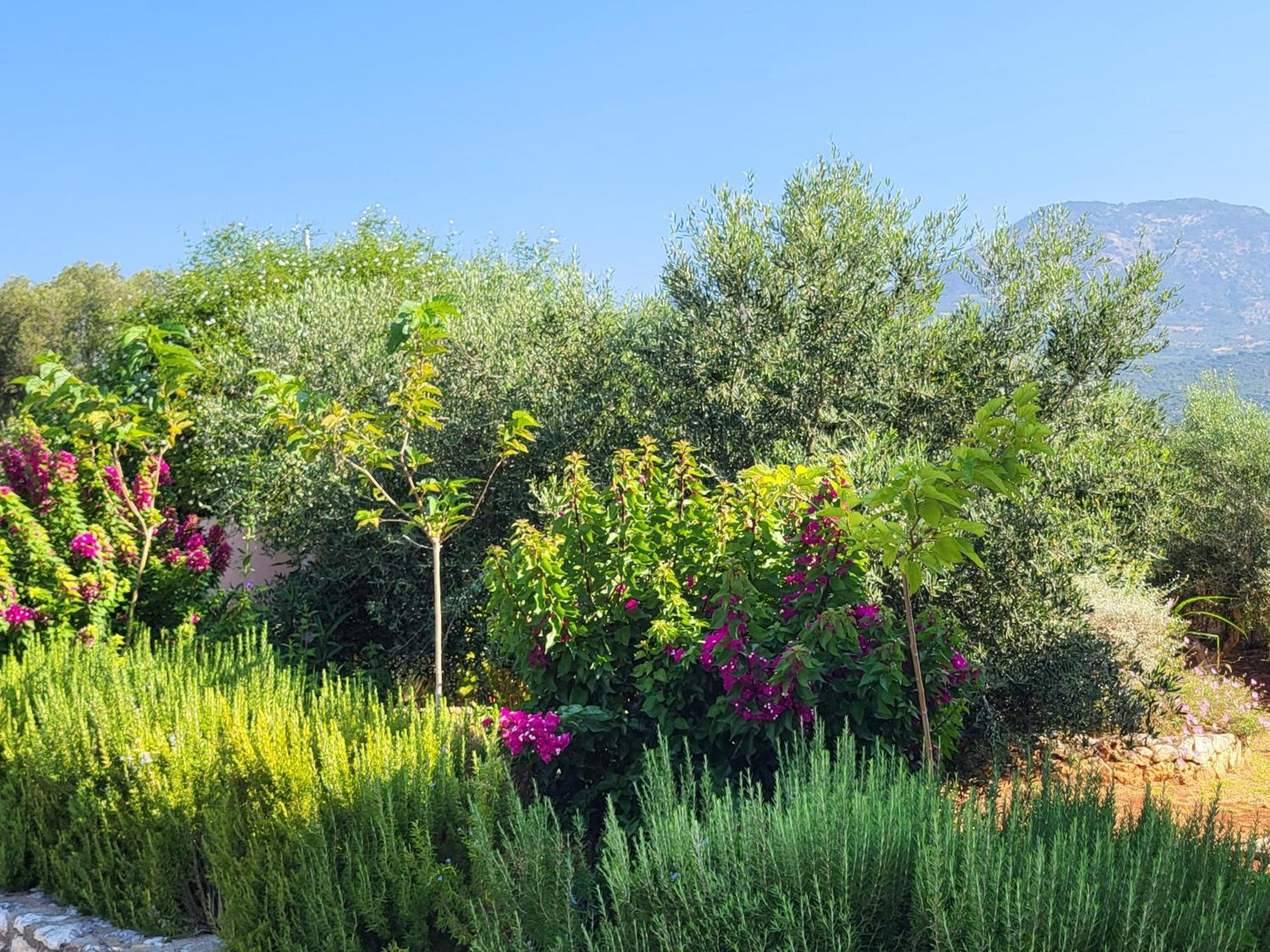 Korallis Villas Karavados ภายนอก รูปภาพ