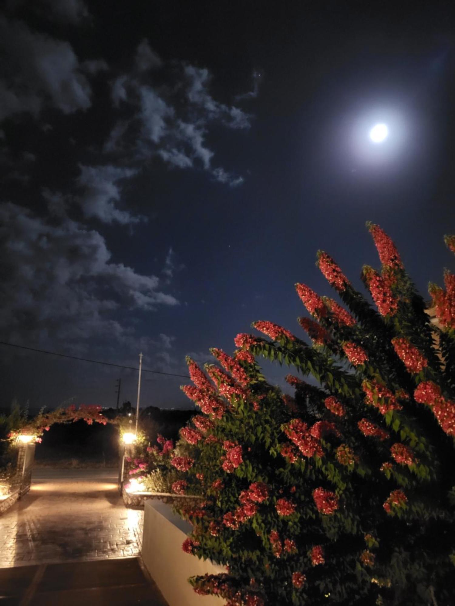 Korallis Villas Karavados ภายนอก รูปภาพ