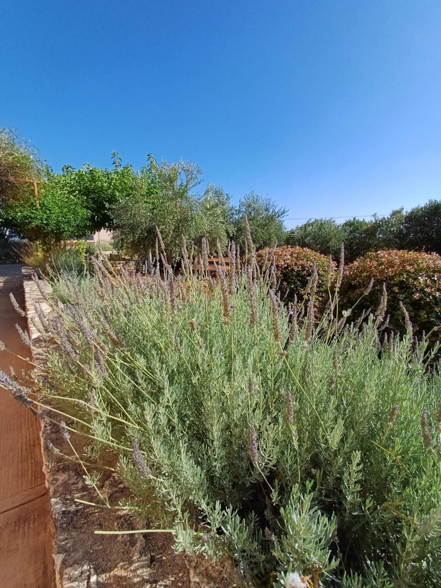 Korallis Villas Karavados ภายนอก รูปภาพ